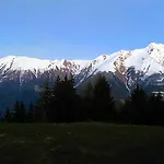 Alpenhaus *